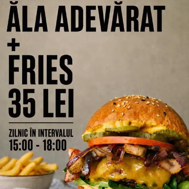 Meniu Burger + Fries